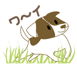 Jack Russell Terrier dog shy sticker #3922460