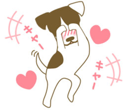 Jack Russell Terrier dog shy sticker #3922462