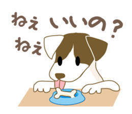 Jack Russell Terrier dog shy sticker #3922470