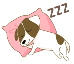 Jack Russell Terrier dog shy sticker #3922471