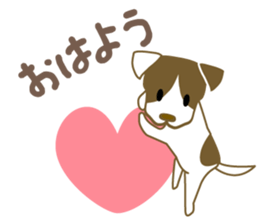 Jack Russell Terrier dog shy sticker #3922473