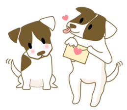 Jack Russell Terrier dog shy sticker #3922475