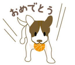 Jack Russell Terrier dog shy sticker #3922480