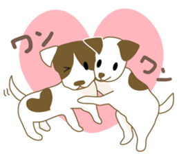 Jack Russell Terrier dog shy sticker #3922482