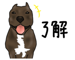 Dog "ESU" sticker #3926768
