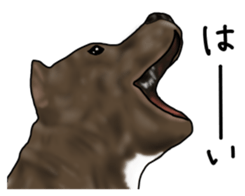 Dog "ESU" sticker #3926769