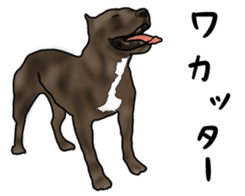 Dog "ESU" sticker #3926770