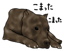 Dog "ESU" sticker #3926790