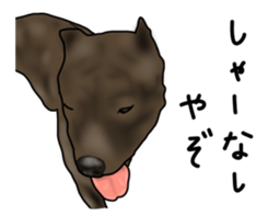 Dog "ESU" sticker #3926792