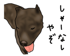 Dog "ESU" sticker #3926792