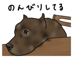 Dog "ESU" sticker #3926801