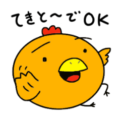 Mr.ZIDONGO