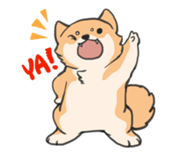 Shiba HATI BowBow sticker #3928140