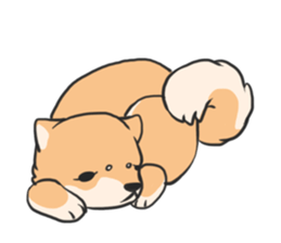 Shiba HATI BowBow sticker #3928158