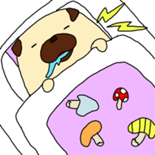 PUG&BIRD STICKER! sticker #3928223