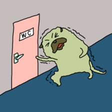 PUG&BIRD STICKER! sticker #3928234