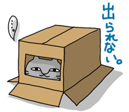 A cat want to return home and outgo. sticker #3929237