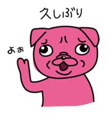 Pink Pug 2 sticker #3929887
