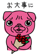 Pink Pug 2 sticker #3929916