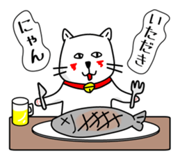 Liquor and music love,cat senior sticker #3931013