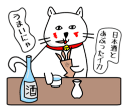 Liquor and music love,cat senior sticker #3931014