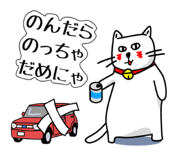 Liquor and music love,cat senior sticker #3931032