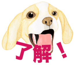 Taiwan travel of beagle dogs sticker #3931223