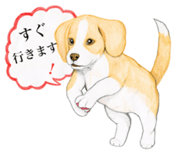 Taiwan travel of beagle dogs sticker #3931230