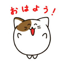 maru cat sticker #3936927