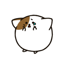 maru cat sticker #3936933