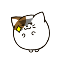 maru cat sticker #3936940
