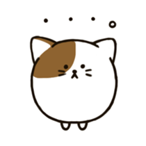 maru cat sticker #3936941