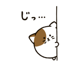 maru cat sticker #3936955