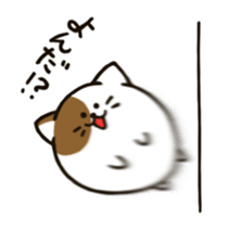 maru cat sticker #3936957