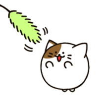 maru cat sticker #3936959