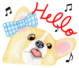 Mr.CORGI sticker #3937767