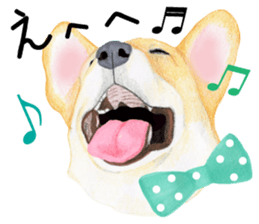 Mr.CORGI sticker #3937768