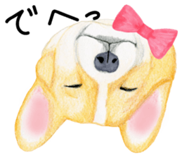 Mr.CORGI sticker #3937769