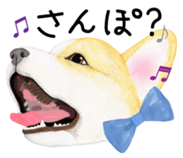 Mr.CORGI sticker #3937770