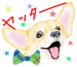 Mr.CORGI sticker #3937771