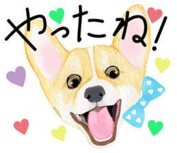 Mr.CORGI sticker #3937772