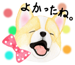 Mr.CORGI sticker #3937774