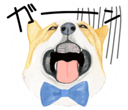 Mr.CORGI sticker #3937778