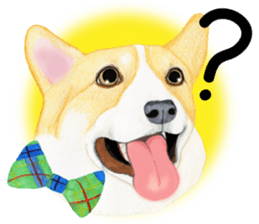 Mr.CORGI sticker #3937779