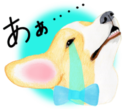 Mr.CORGI sticker #3937780