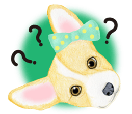 Mr.CORGI sticker #3937781