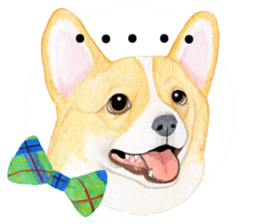 Mr.CORGI sticker #3937782