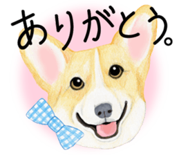Mr.CORGI sticker #3937783