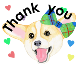 Mr.CORGI sticker #3937784