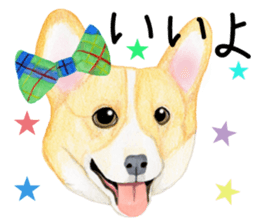 Mr.CORGI sticker #3937786